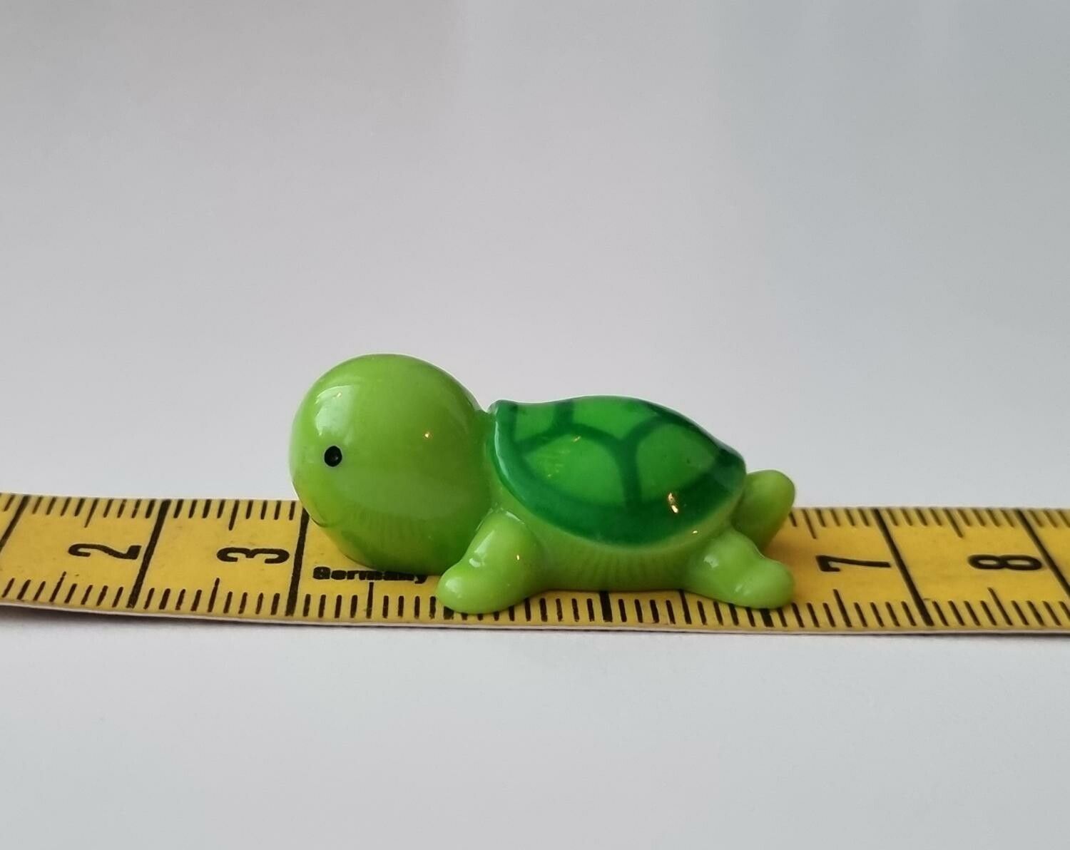 Grön sköldpadda, minisköldpadda / miniatyr