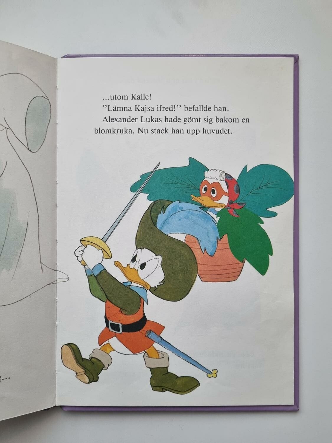 Kalle Anka på maskerad, bok / barnbok