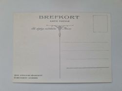 Vykort - Brefkort Nr 952