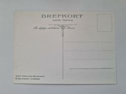 Vykort - Brefkort Nr 954