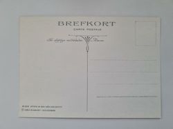 Vykort - Brefkort Nr 958
