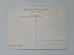 Vykort - Brefkort Nr 965