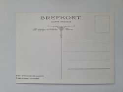 Vykort - Brefkort Nr 951