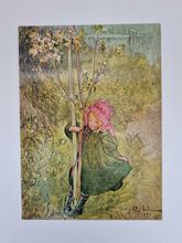 Vykort - Carl Larsson, Äppelblom