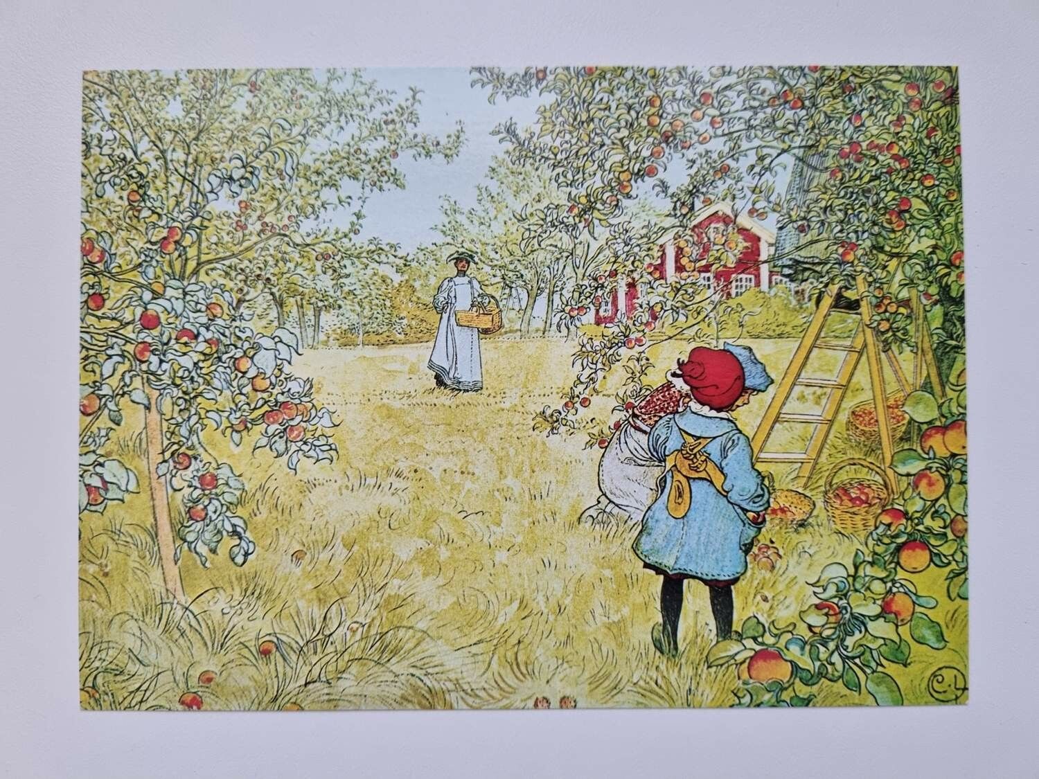 Vykort - Carl Larsson, Äppelskörden