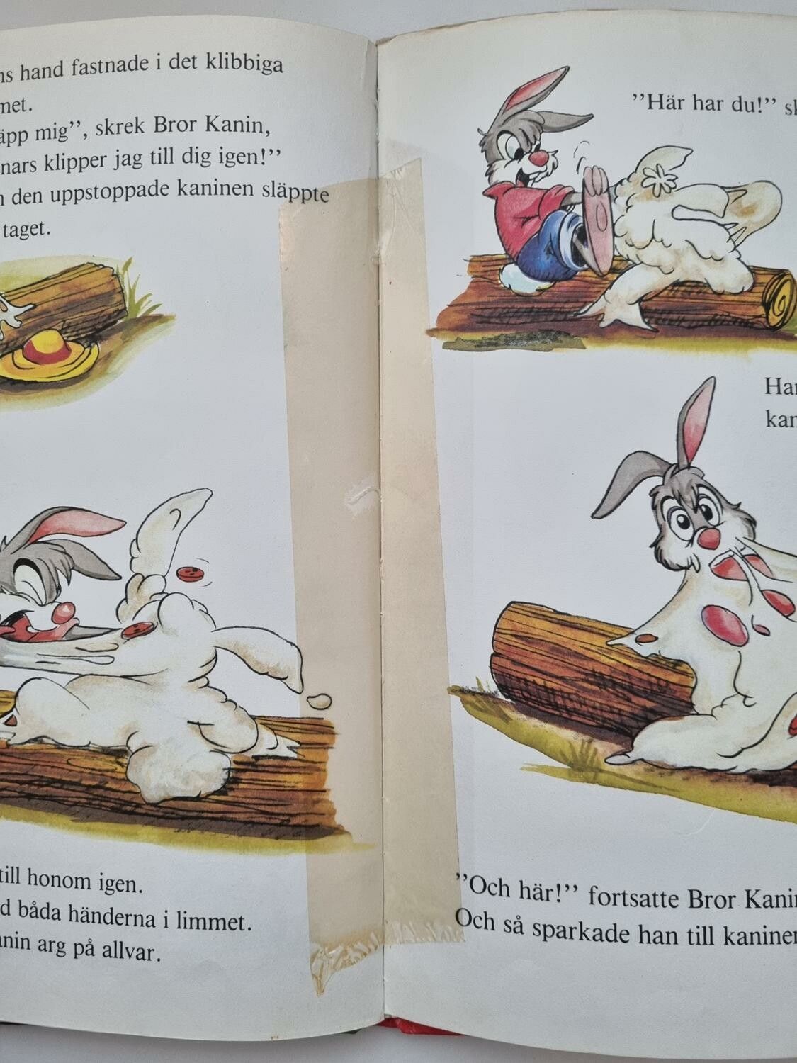 Bror kanin och hans vänner, bok / barnbok