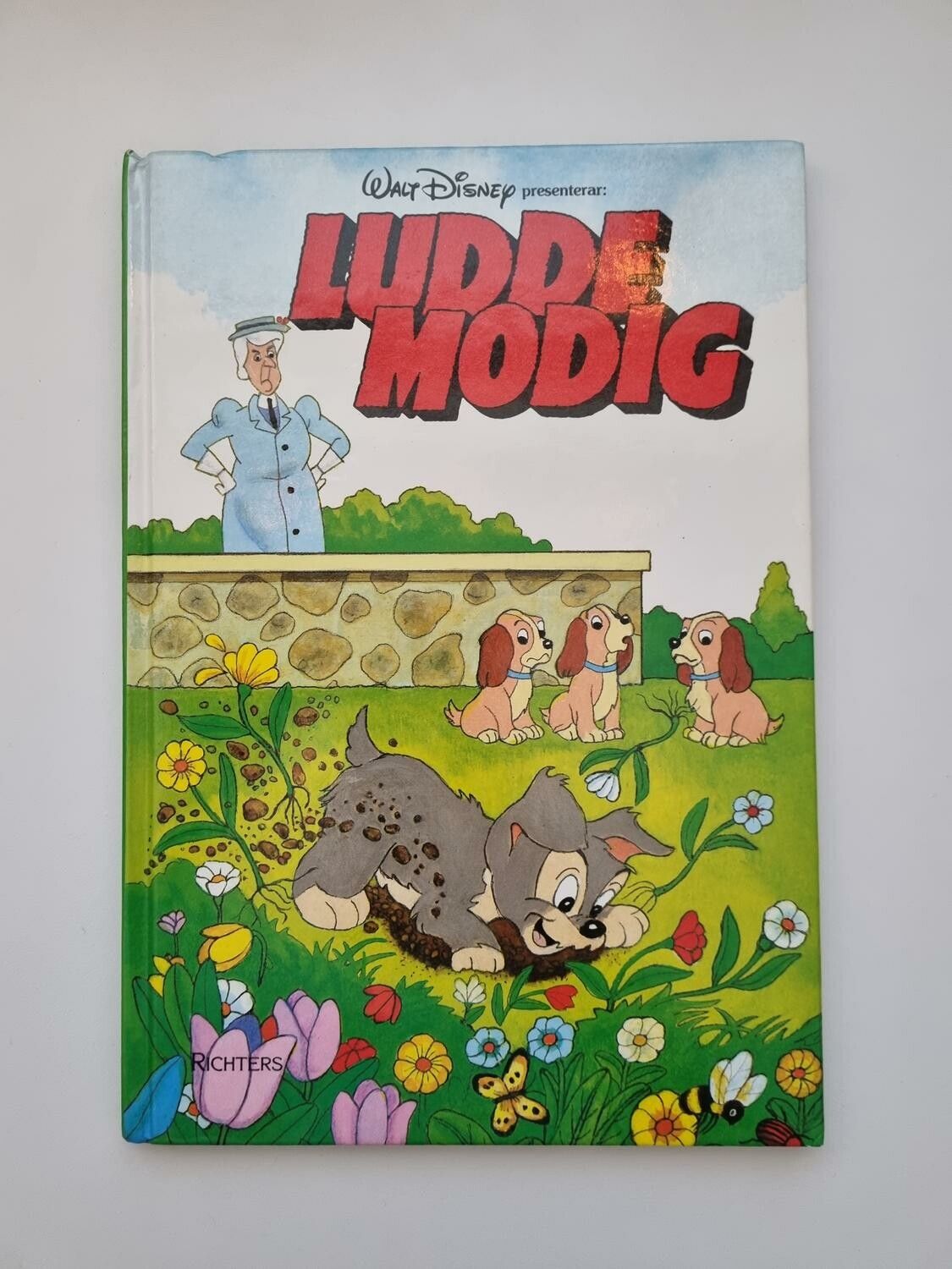 Ludde Modig, bok / barnbok