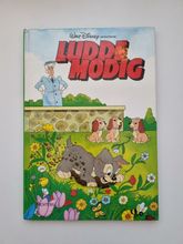 Ludde Modig, bok / barnbok