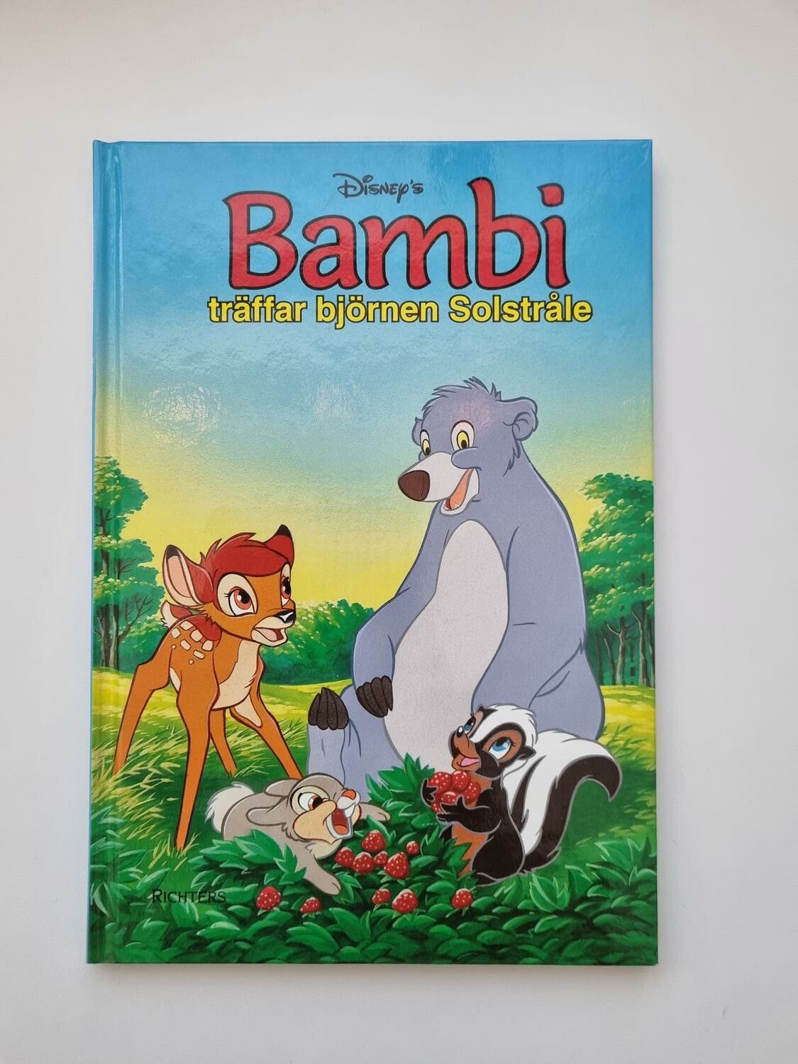 Bambi träffar björnen Solstråle, bok / barnbok