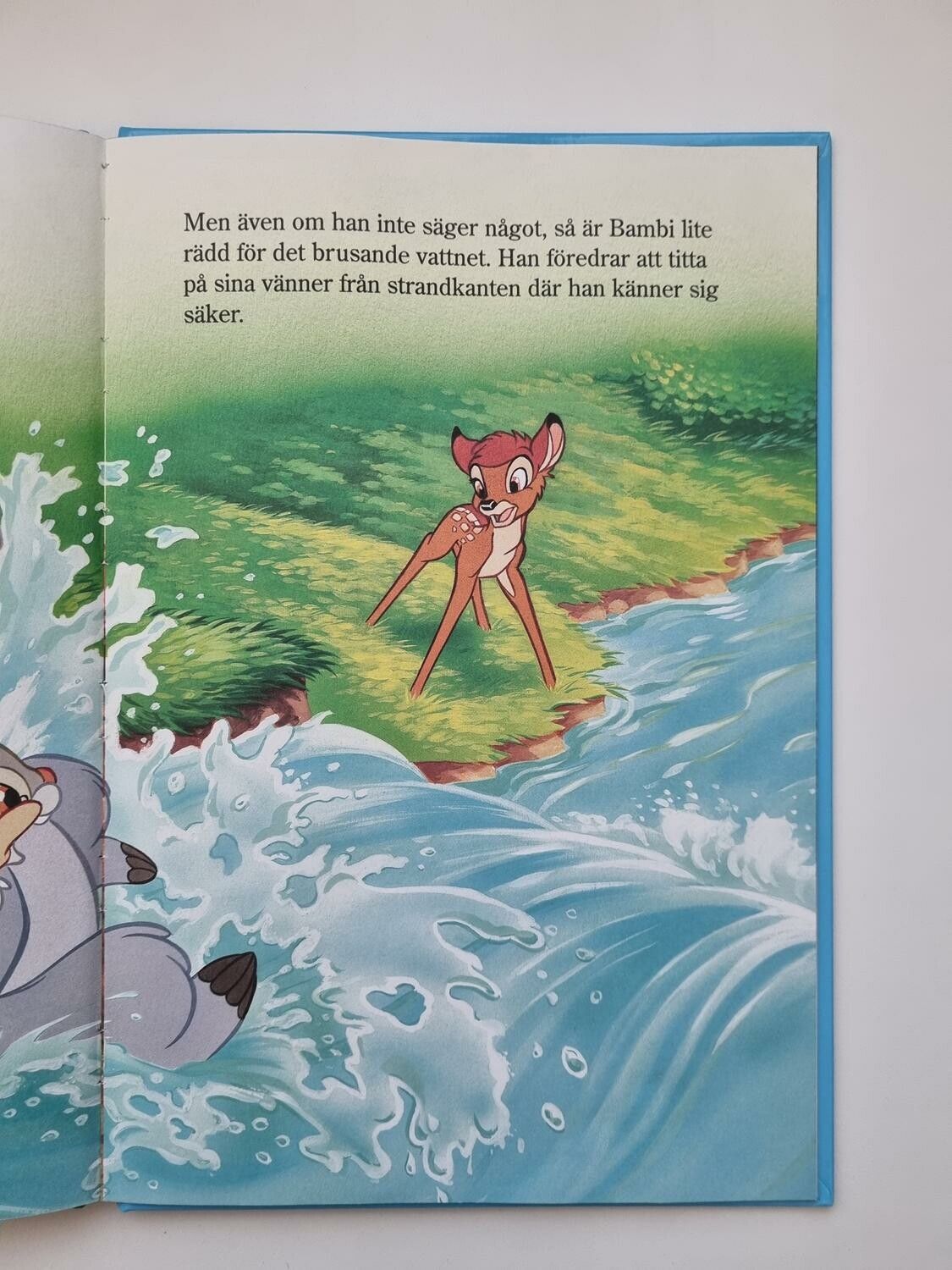 Bambi träffar björnen Solstråle, bok / barnbok