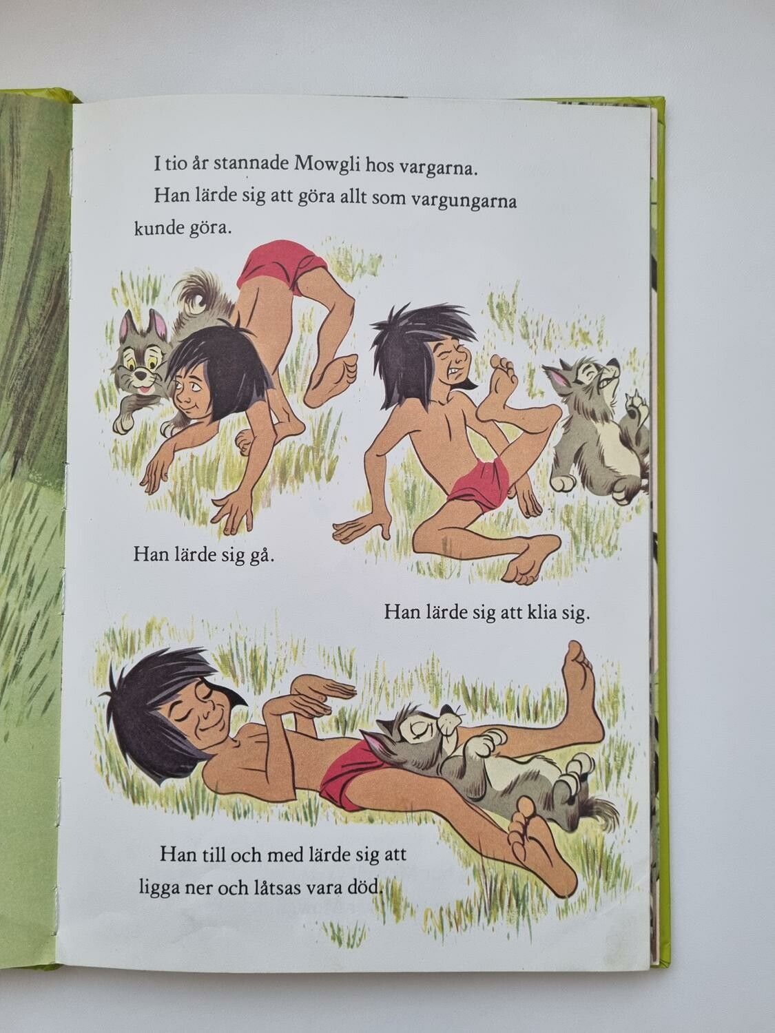 Djungelboken, bok / barnbok