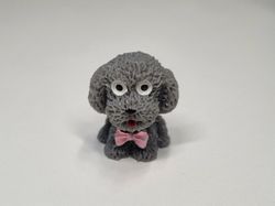 1 st liten hund, miniatyrhund
