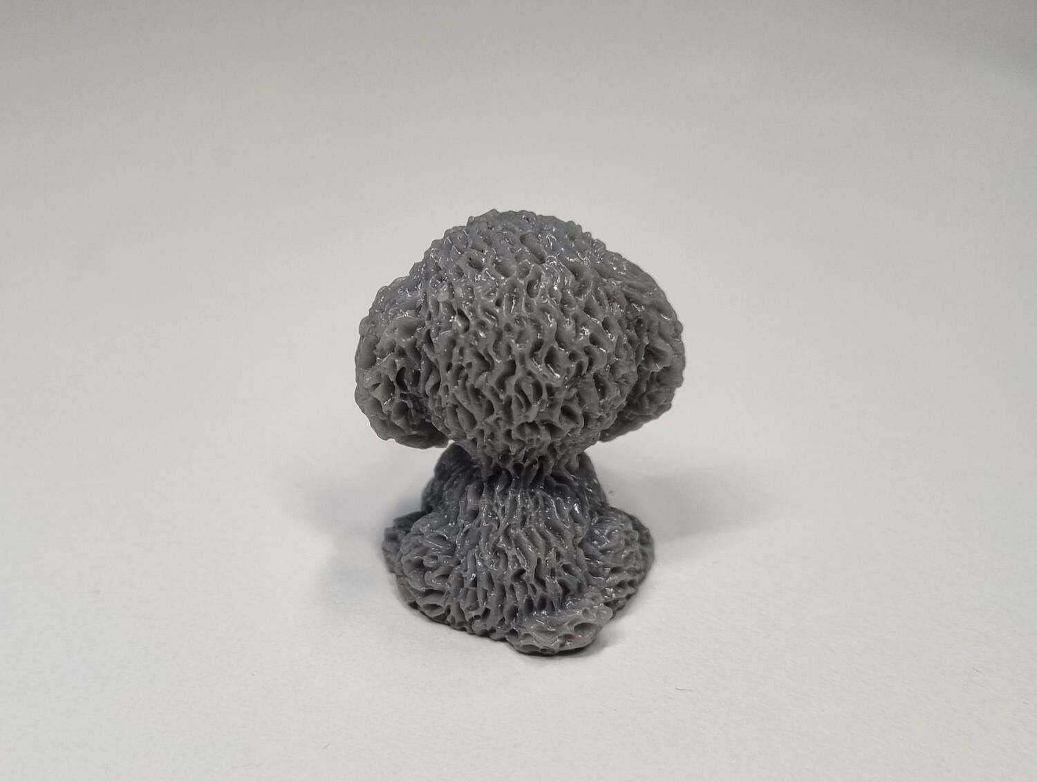 1 st liten hund, miniatyrhund