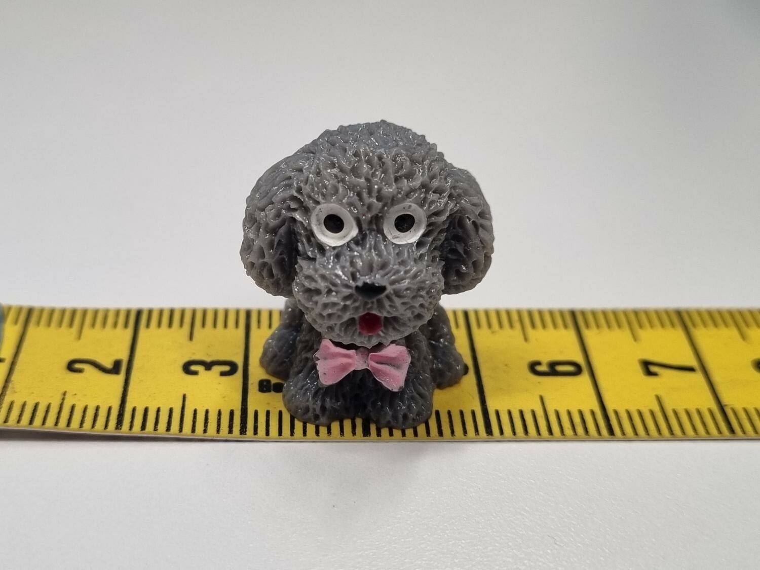 1 st liten hund, miniatyrhund