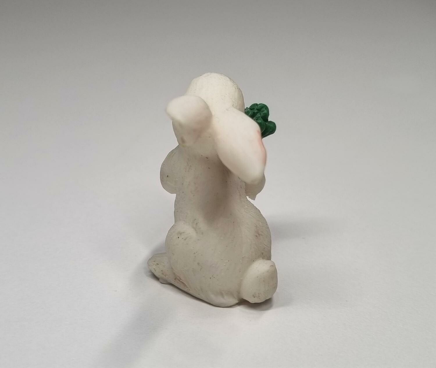 1 st liten kanin, miniatyrkanin