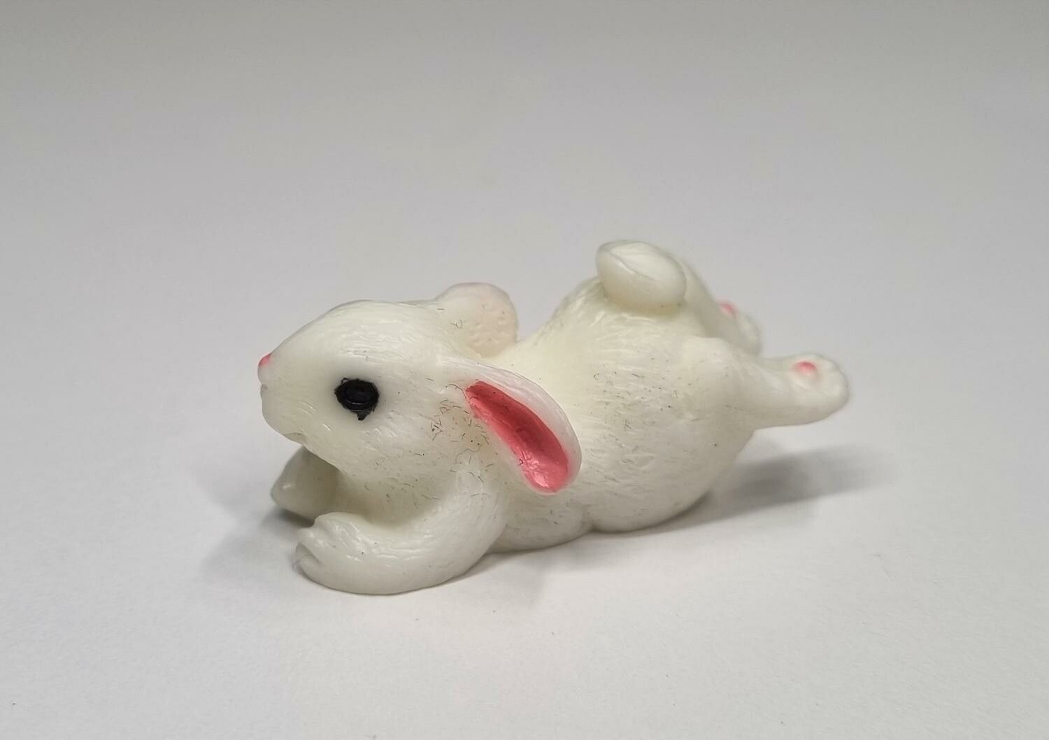 1 st liten kanin, miniatyrkanin