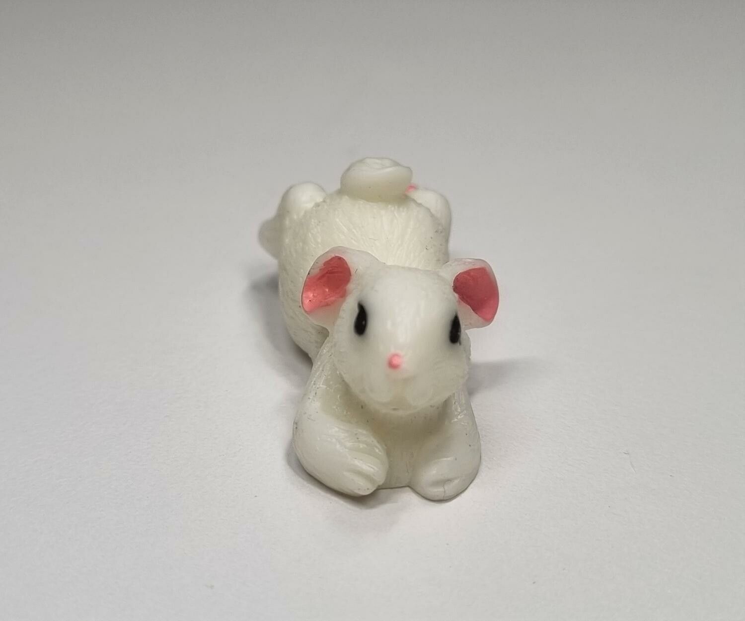 1 st liten kanin, miniatyrkanin