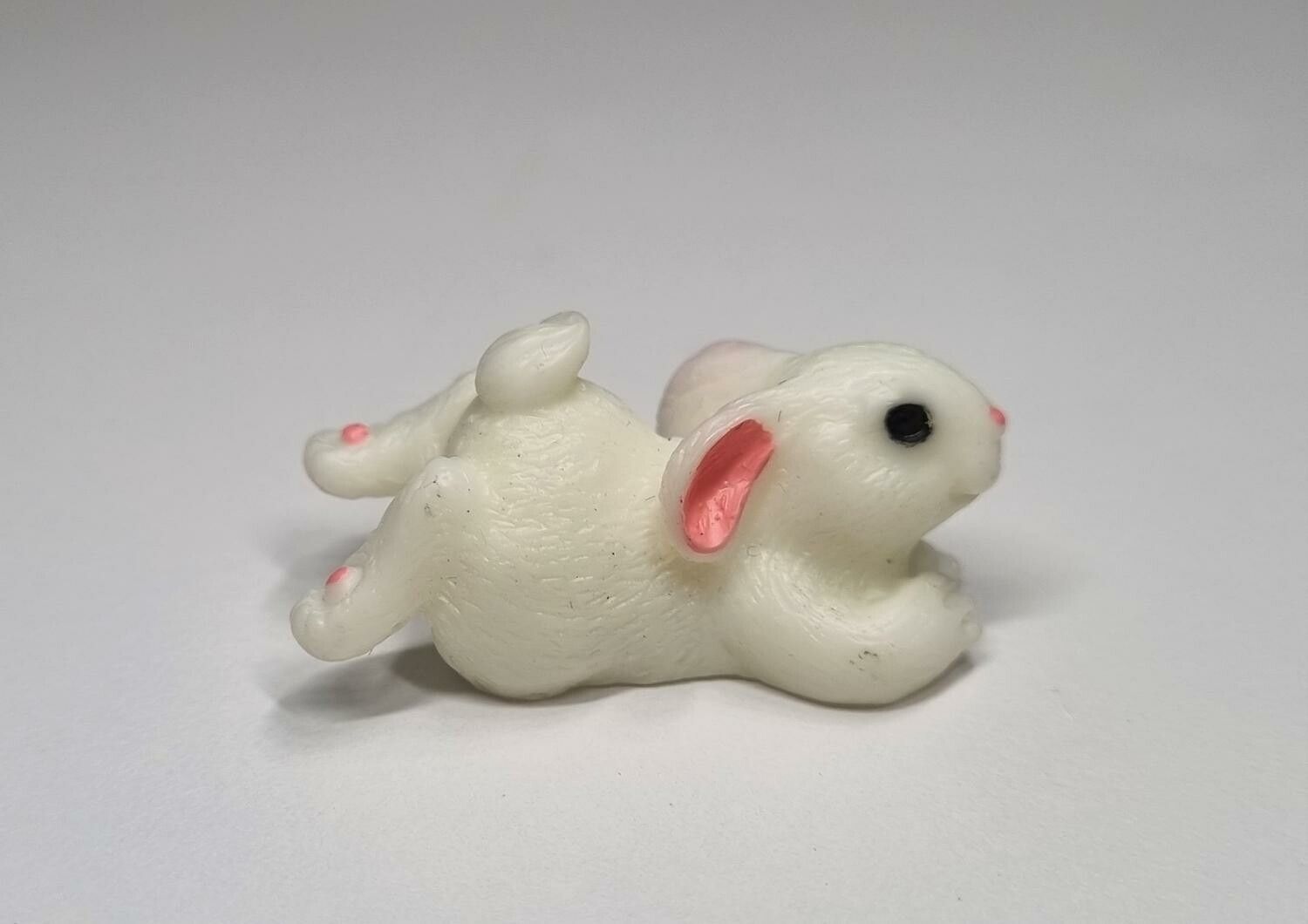 1 st liten kanin, miniatyrkanin