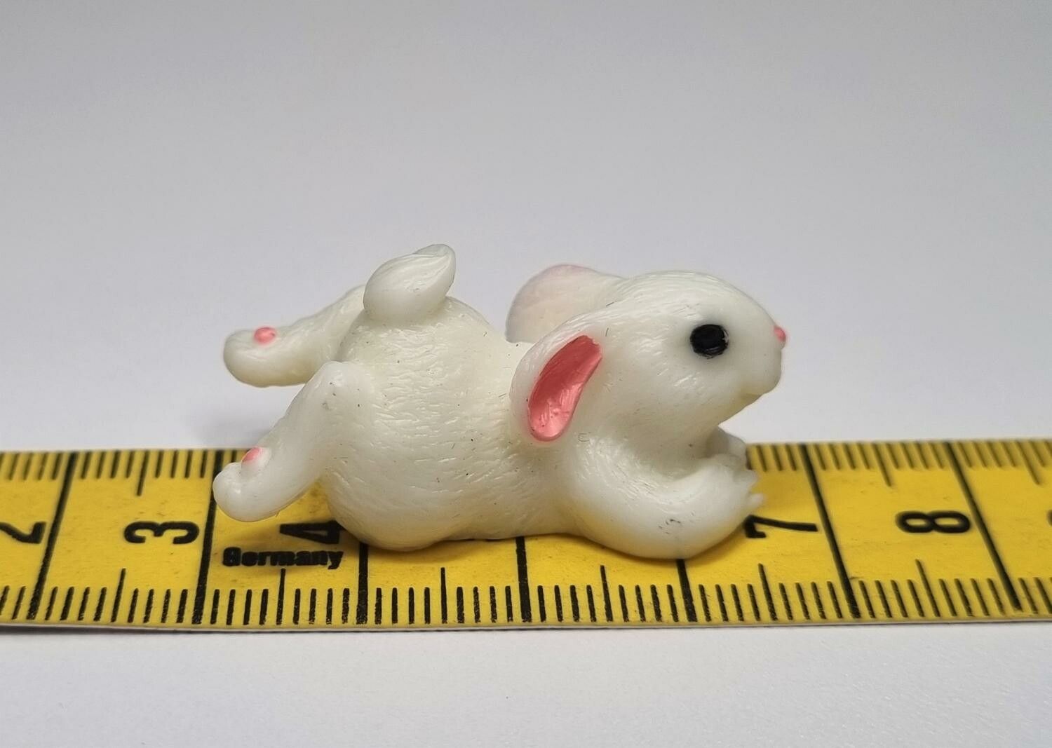 1 st liten kanin, miniatyrkanin
