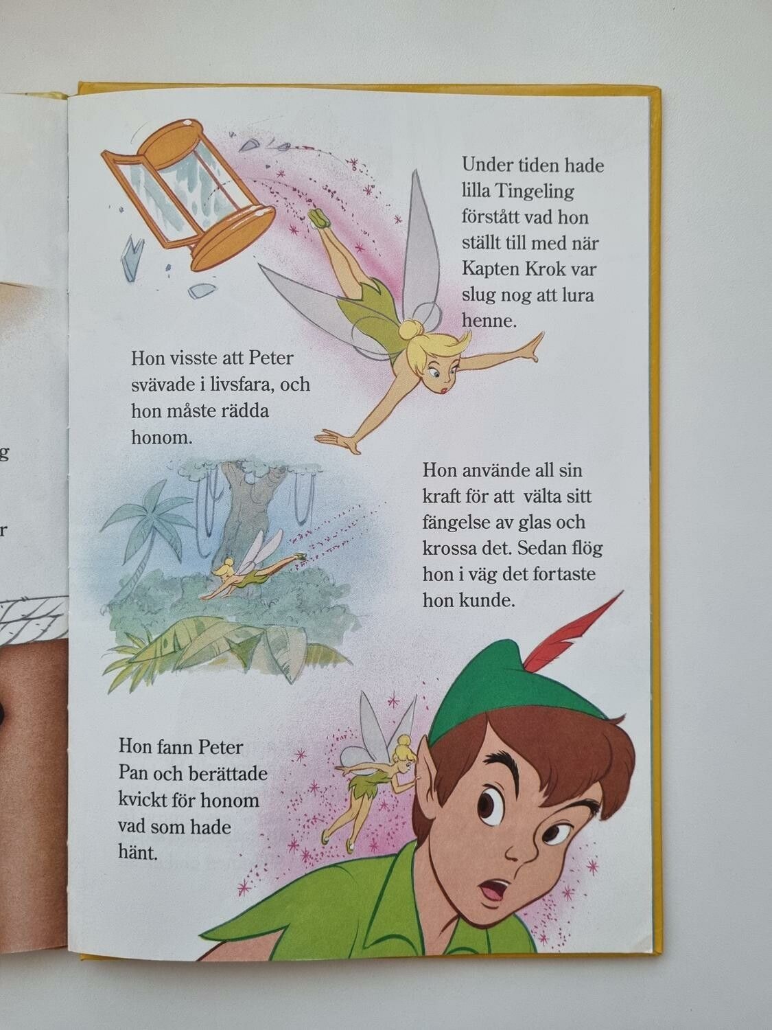 Peter Pan, bok / barnbok