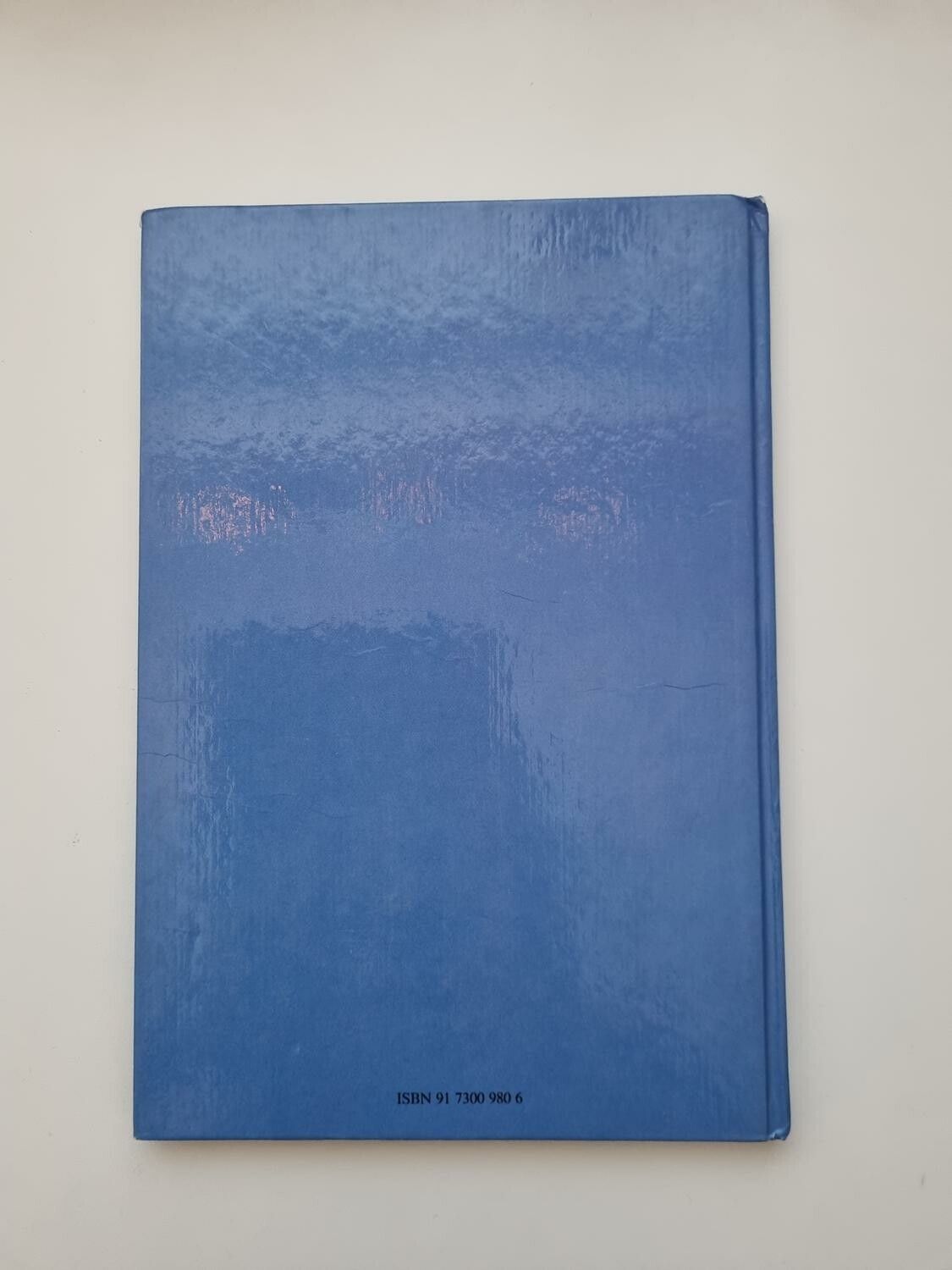 Nalle Puh och den blåsiga dagen, bok / barnbok