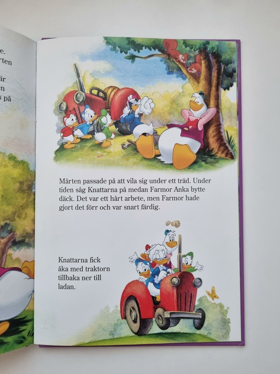 Farmor Ankas hjälpredor, bok / barnbok