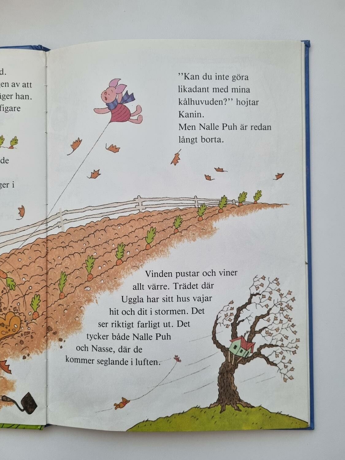 Nalle Puh och den blåsiga dagen, bok / barnbok
