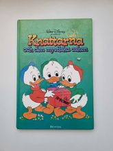 Knattarna och den mystiska asken, bok / barnbok