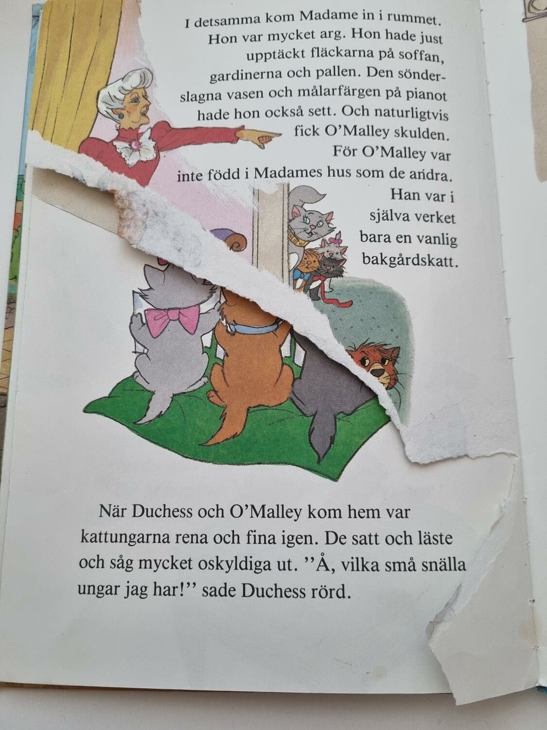 Aristocats i farten, bok / barnbok