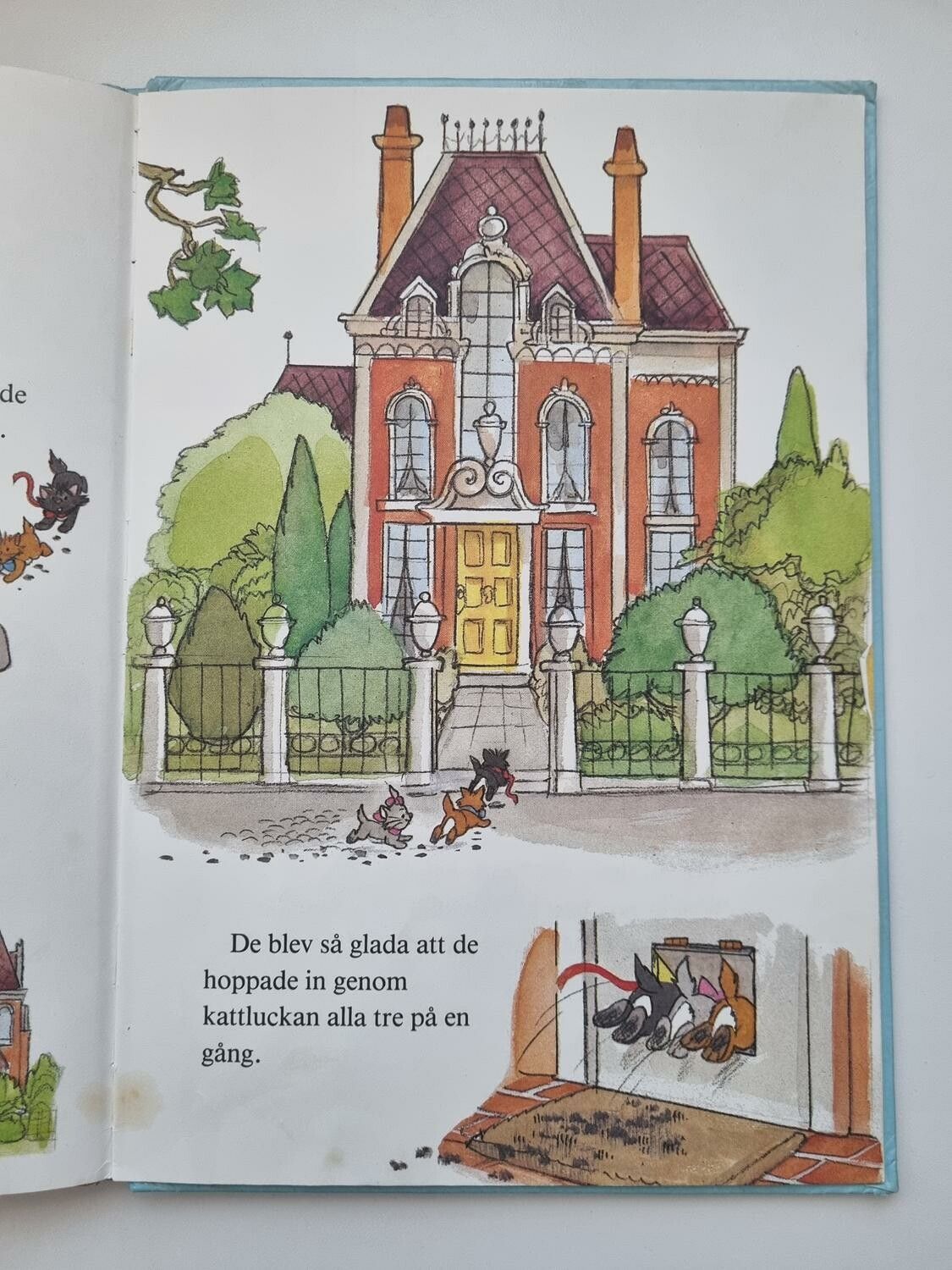Aristocats i farten, bok / barnbok