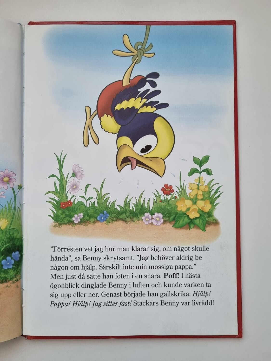 Benny på egna vingar, bok / barnbok