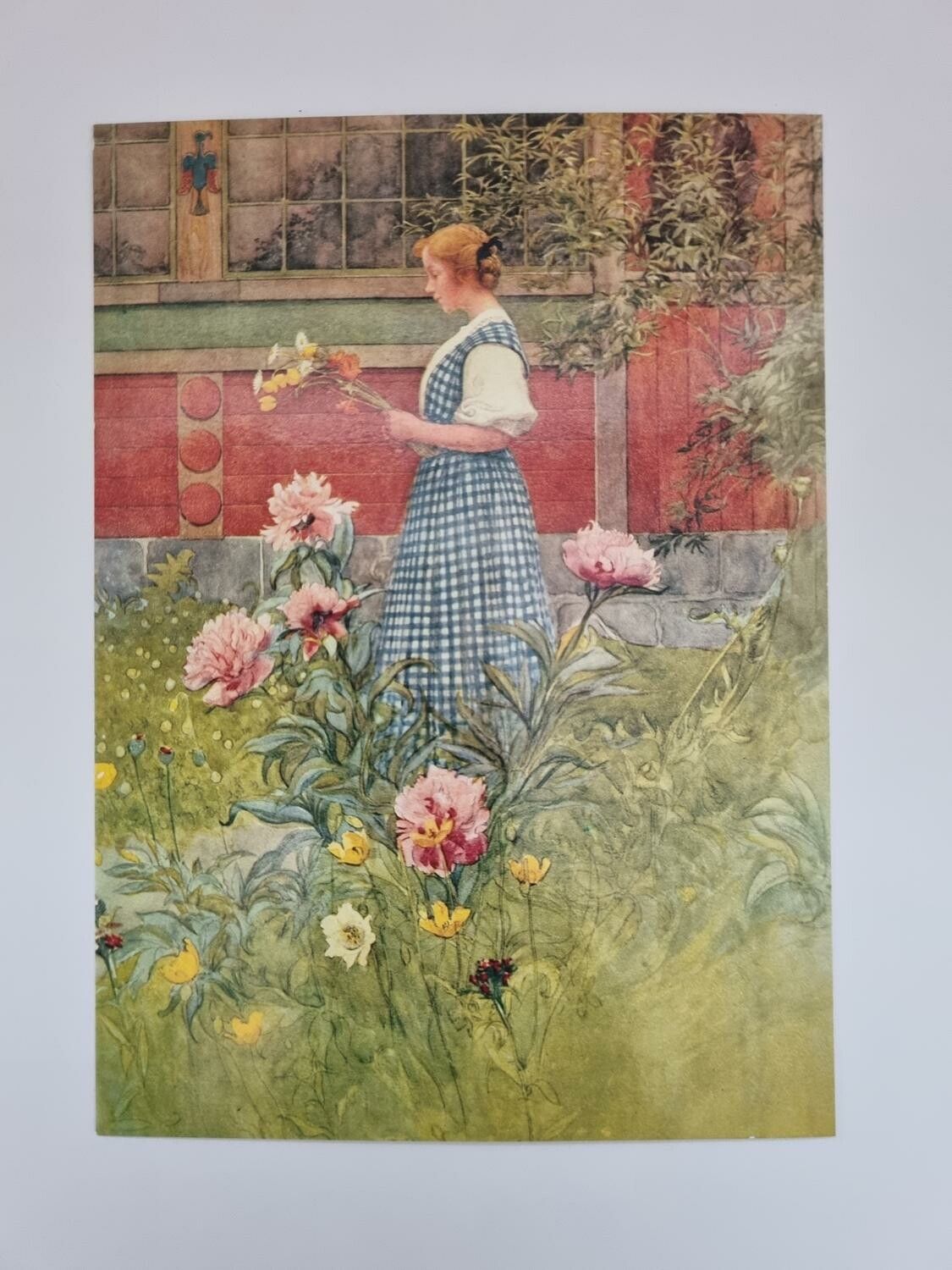 Vykort - Carl Larsson, Flickan med pionerna