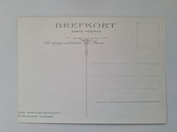 Vykort - Brefkort med katter