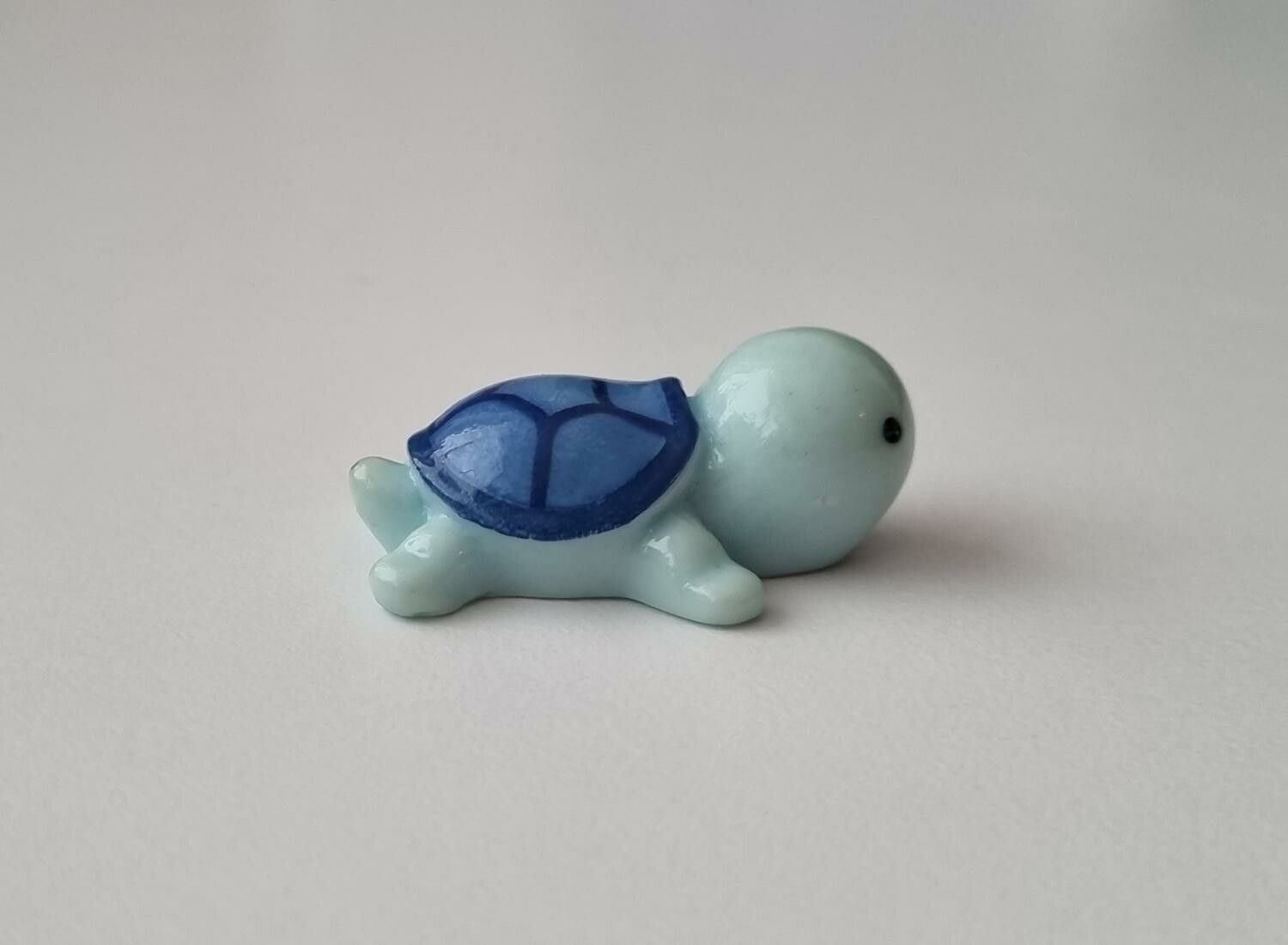 Blå sköldpadda, minisköldpadda / miniatyr