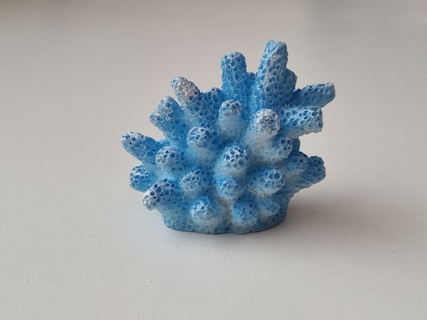 Miniatyr, blå liten korall / korallbit