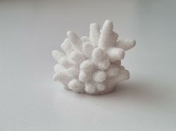 Miniatyr, vit liten korall / korallbit