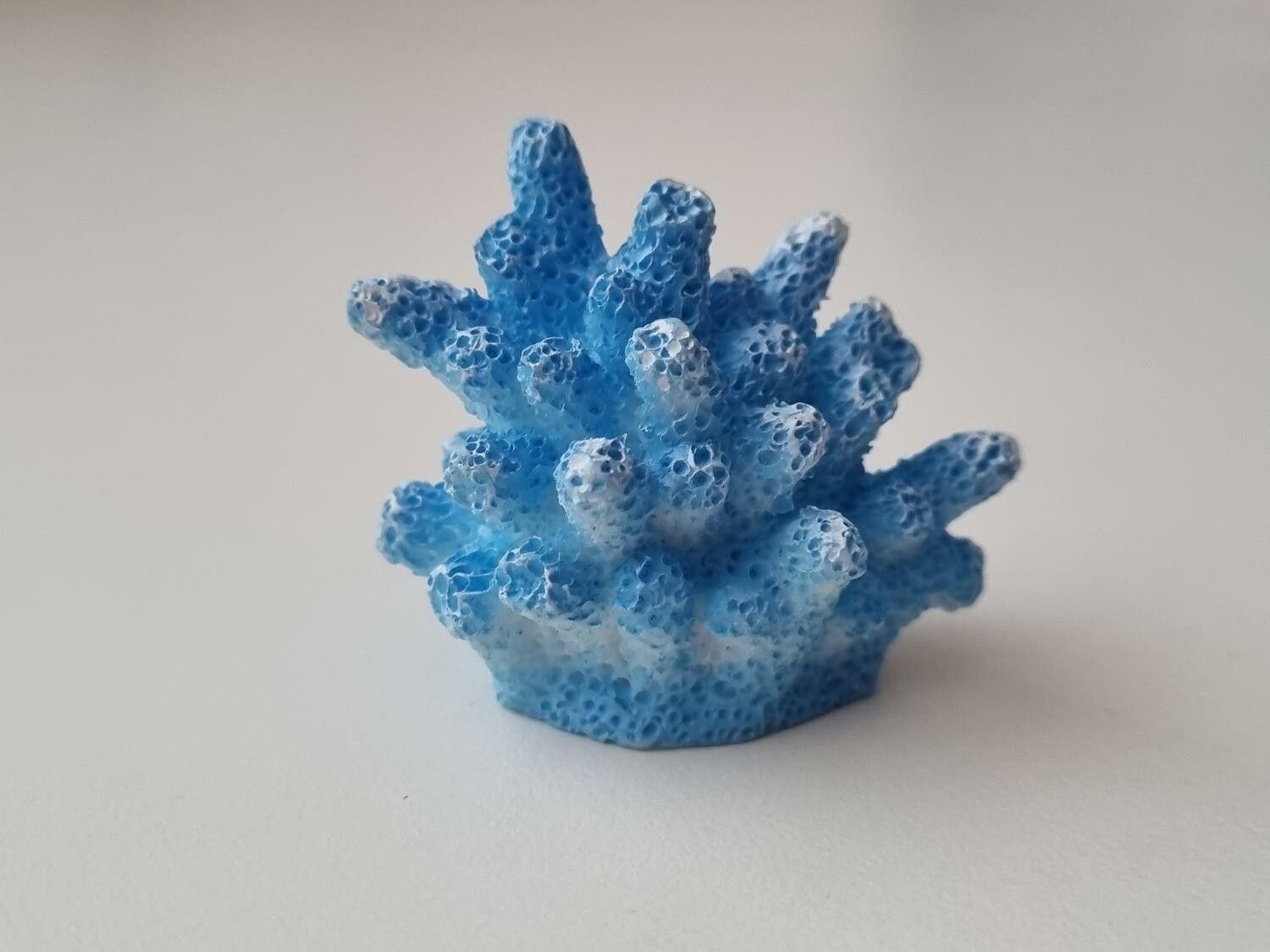 Miniatyr, blå liten korall / korallbit