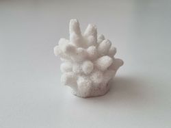 Miniatyr, vit liten korall / korallbit