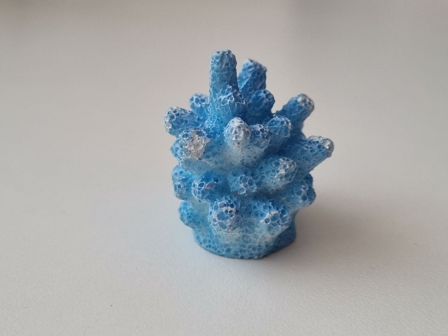 Miniatyr, blå liten korall / korallbit