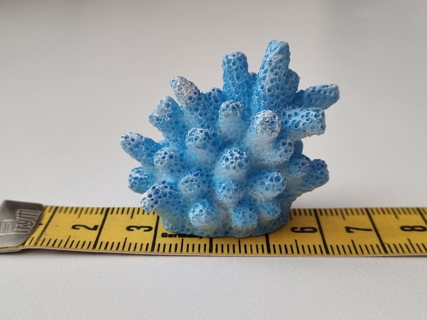 Miniatyr, blå liten korall / korallbit