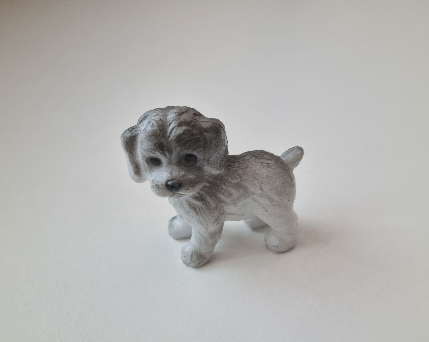 Hund miniatyr, miniatyrhund, minihund (variant 15)