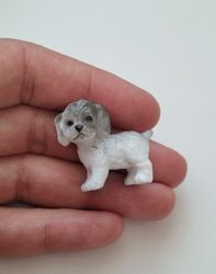 Hund miniatyr, miniatyrhund, minihund (variant 15)