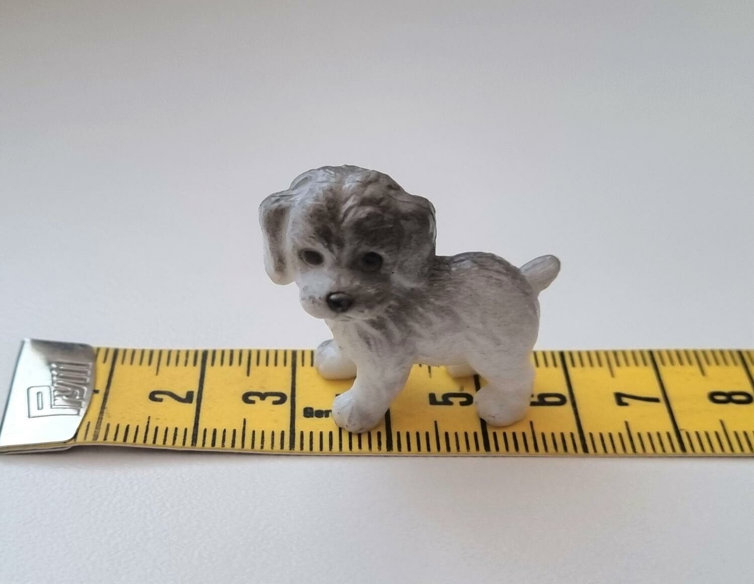 Hund miniatyr, miniatyrhund, minihund (variant 15)