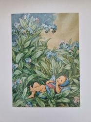 Vykort - Cicely Mary Barker, Förgätmigej