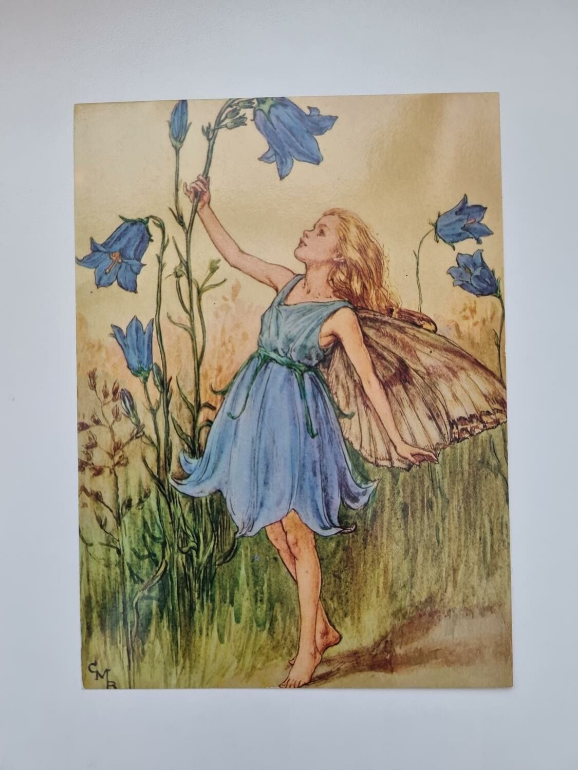 Vykort - Cicely Mary Barker, Blåklocksävlan