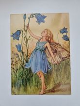 Vykort - Cicely Mary Barker, Blåklocksävlan