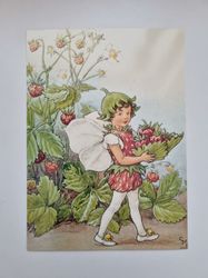 Vykort - Cicely Mary Barker, Jordgubbsälvan
