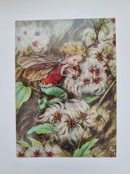 Vykort - Cicely Mary Barker, Klematisälvan