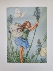 Vykort - Cicely Mary Barker, Lavendelälvan