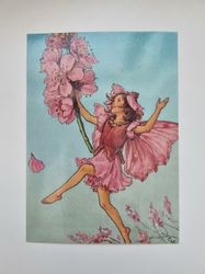 Vykort - Cicely Mary Barker, Mandelblomsälvan